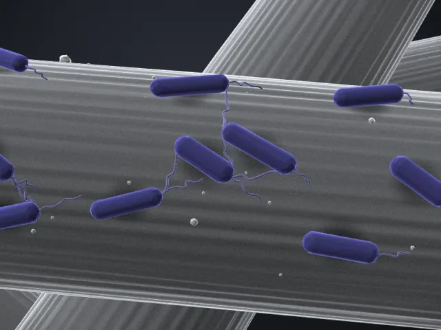3D-Illustration von Geobacter anodireducens SD-1 im REM-Stil