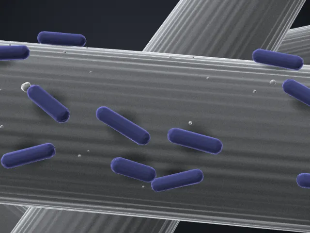 3D-Illustration von Methanobacterium sp. strain YSL im REM-Stil