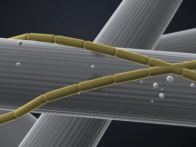 3D-Illustration von Methanothrix harundinacea im REM-Stil
