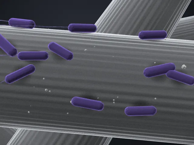 3D-Illustration von Shewanella oneidensis MR-4 im REM-Stil